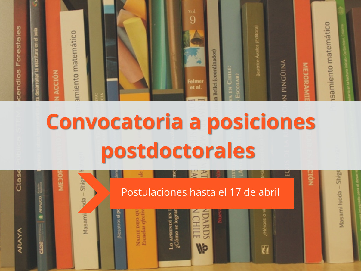 Posiciones postdoctorales en CIAE Universidad de Chile / Postdoctoral Positions at CIAE Universidad De Chile