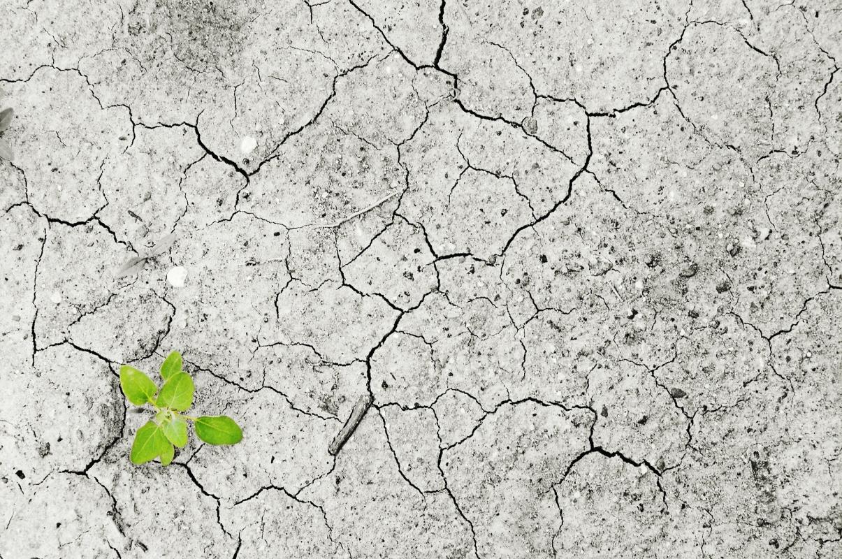 Chile será sede de importante encuentro internacional sobre el cambio climático y educación