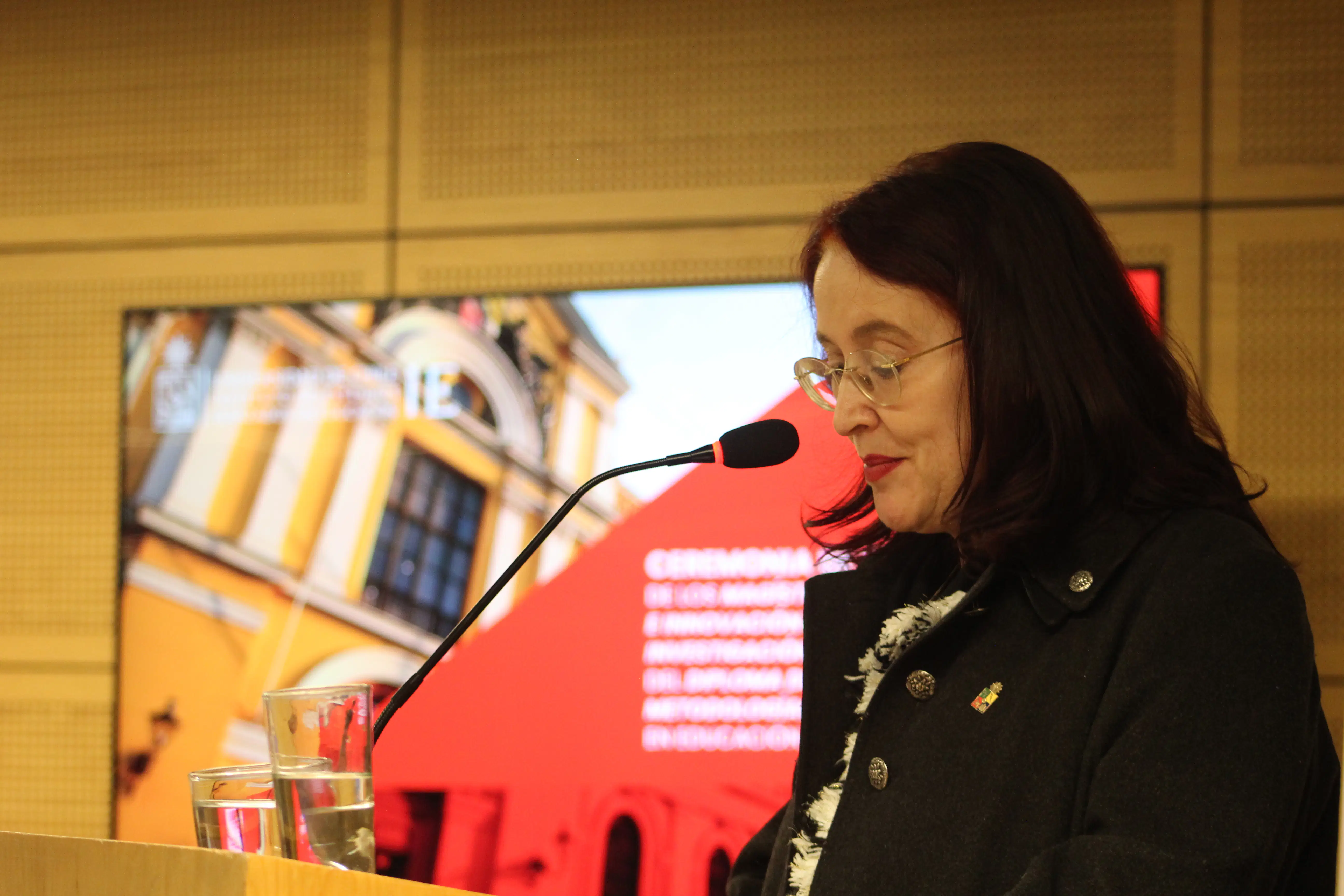 Vicerrectora de Asuntos Académicos de la U. de Chile, Ulrike Kemmerling Weis
