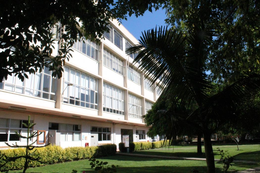 Nuevo centro de investigación en educación será liderado por investigadora CIAE
