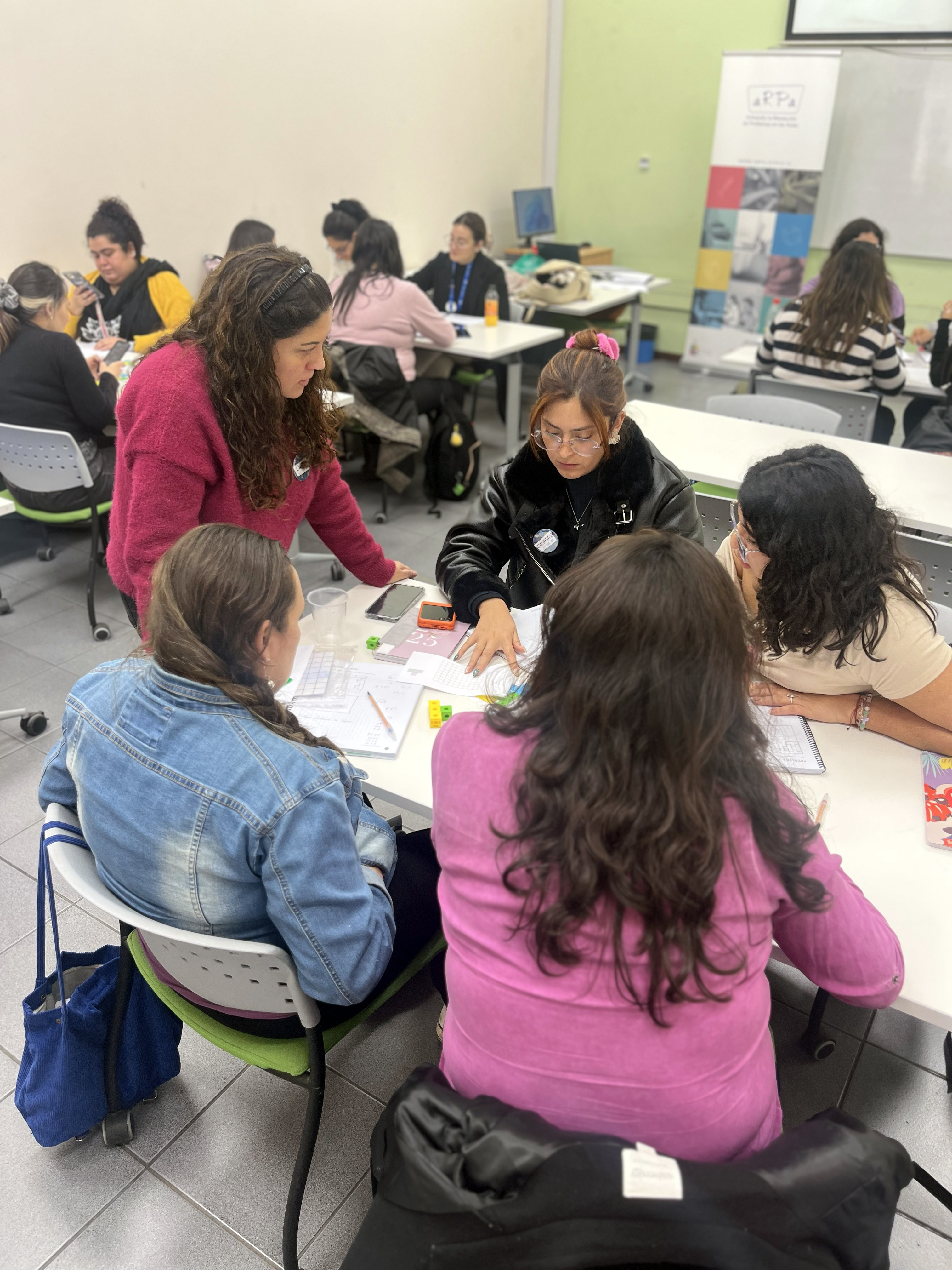 Imagen para la noticia: 20 profesoras de establecimientos SIP comienzan diplomado ARPA